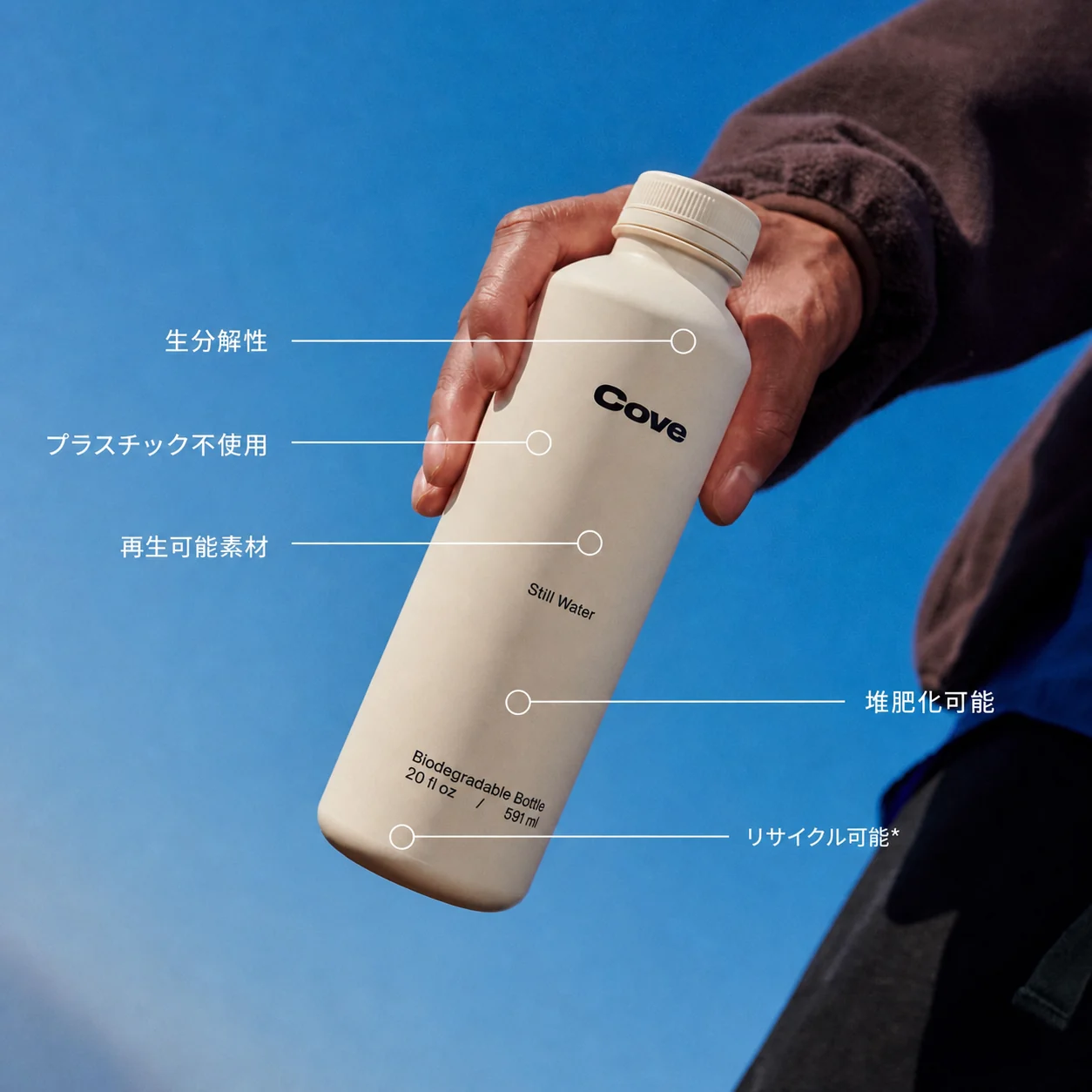 Japanese example